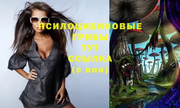 MDMA Нязепетровск