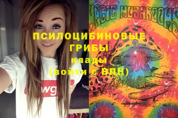 МДПВ Нягань