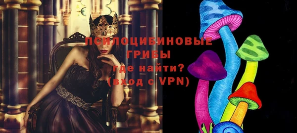 МДПВ Нягань