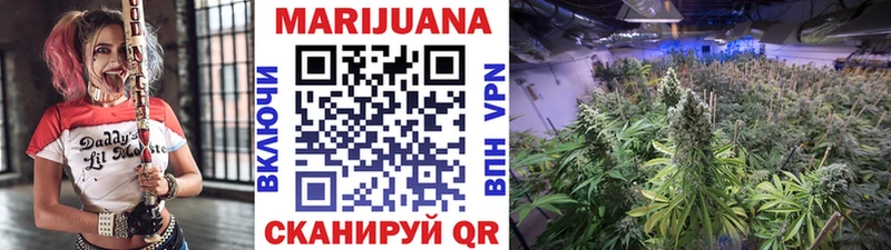 Конопля ГИДРОПОН  Новое Девяткино 